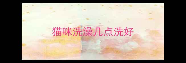 图片 猫咪洗澡几点洗好