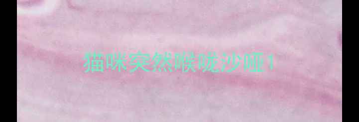图片 猫咪突然喉咙沙哑1