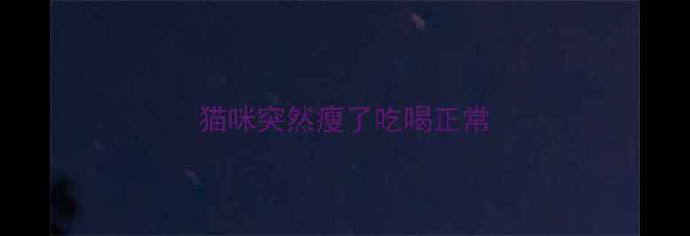 图片 猫咪突然瘦了吃喝正常