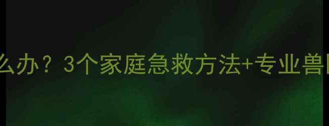 图片 猫咪肠道堵塞不拉屎怎么办？3个家庭急救方法+专业兽医建议（附自救指南）1