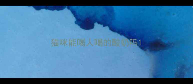 图片 猫咪能喝人喝的酸奶吗1