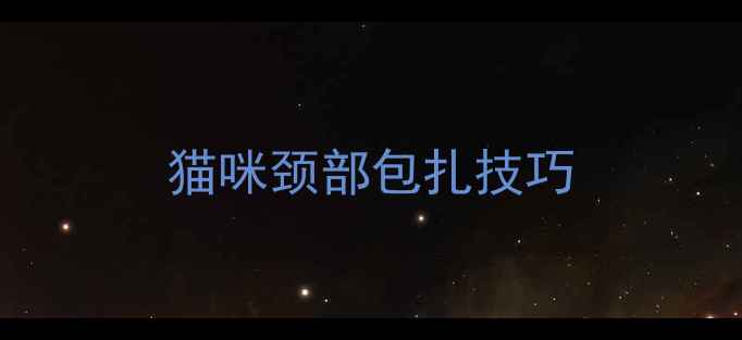 图片 猫咪颈部包扎技巧