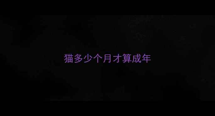 图片 猫多少个月才算成年