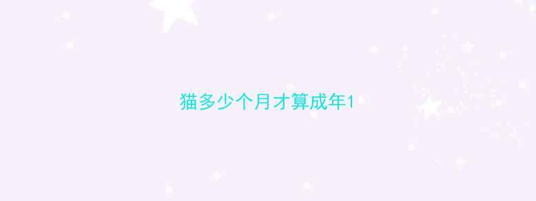 图片 猫多少个月才算成年1