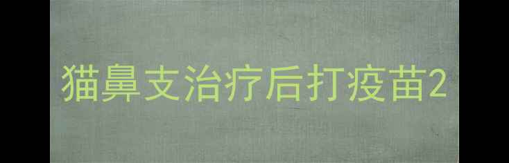 图片 猫鼻支治疗后打疫苗2