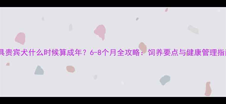 图片 玩具贵宾犬什么时候算成年？6-8个月全攻略：饲养要点与健康管理指南2