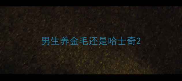图片 男生养金毛还是哈士奇2
