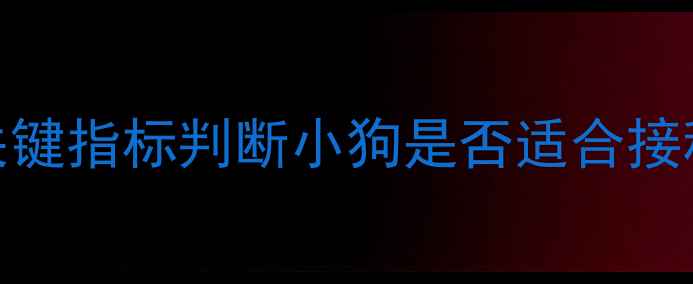 图片 疫苗前必看！5个关键指标判断小狗是否适合接种，避免疫苗无效1