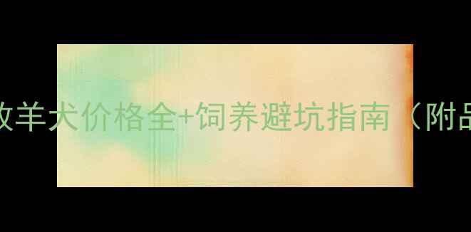 图片 白色边境牧羊犬价格全+饲养避坑指南（附品种对比）
