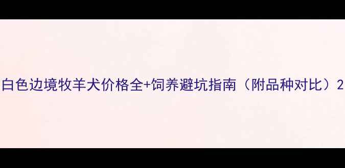 图片 白色边境牧羊犬价格全+饲养避坑指南（附品种对比）2