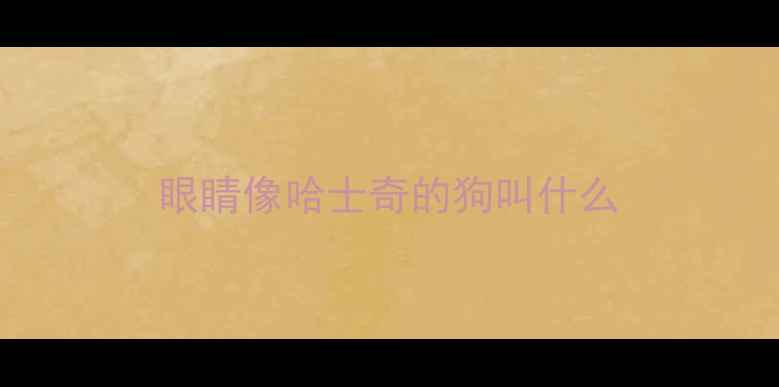 图片 眼睛像哈士奇的狗叫什么