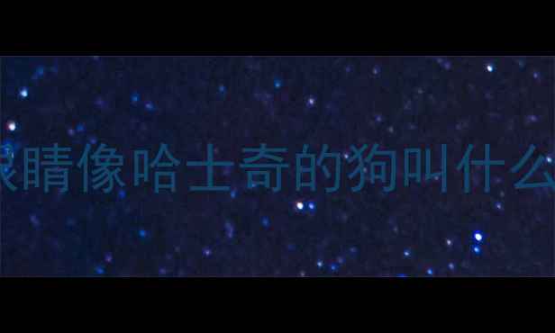 图片 眼睛像哈士奇的狗叫什么1