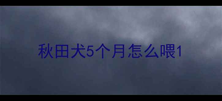 图片 秋田犬5个月怎么喂1