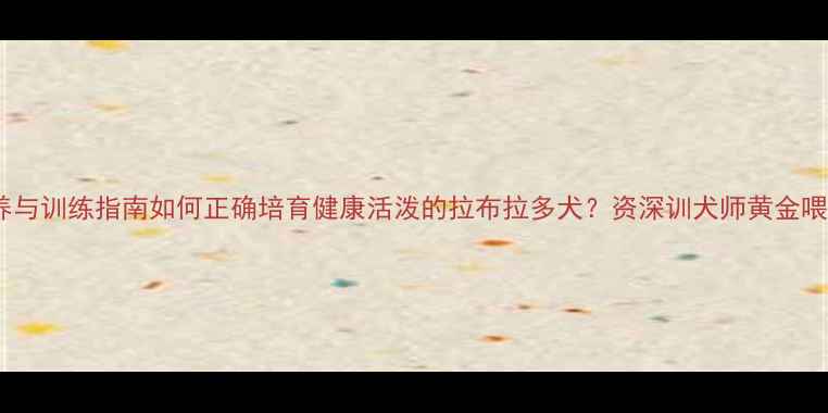 图片 科学喂养与训练指南如何正确培育健康活泼的拉布拉多犬？资深训犬师黄金喂养法则1