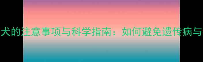 图片 繁殖茶杯泰迪犬的注意事项与科学指南：如何避免遗传病与提高幼犬健康