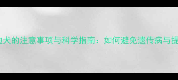 图片 繁殖茶杯泰迪犬的注意事项与科学指南：如何避免遗传病与提高幼犬健康2