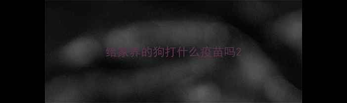 图片 给家养的狗打什么疫苗吗2