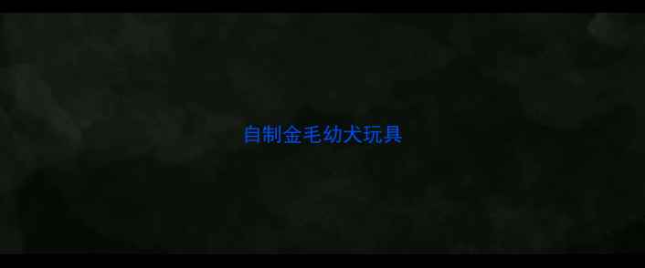 图片 自制金毛幼犬玩具