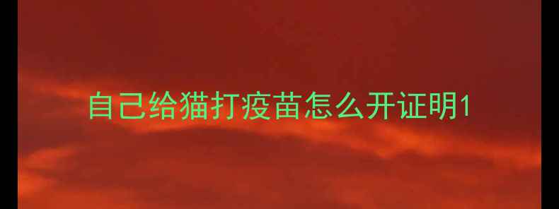 图片 自己给猫打疫苗怎么开证明1