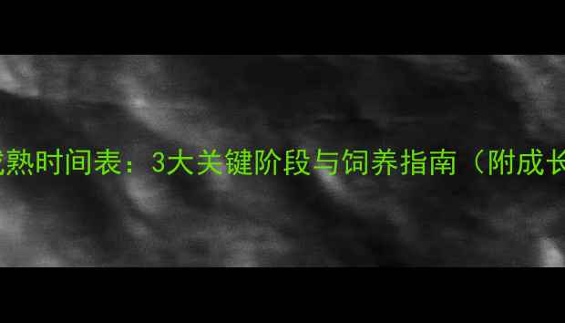 图片 英国斗牛犬性成熟时间表：3大关键阶段与饲养指南（附成长周期对照表）1