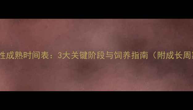 图片 英国斗牛犬性成熟时间表：3大关键阶段与饲养指南（附成长周期对照表）2