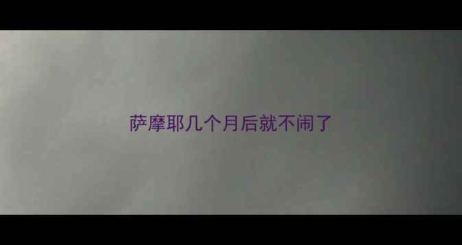 图片 萨摩耶几个月后就不闹了