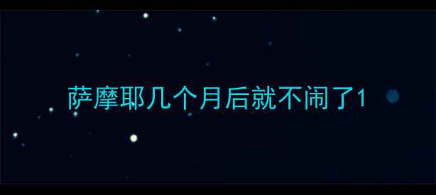 图片 萨摩耶几个月后就不闹了1