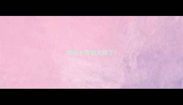 图片 被哈士奇幼犬咬了1