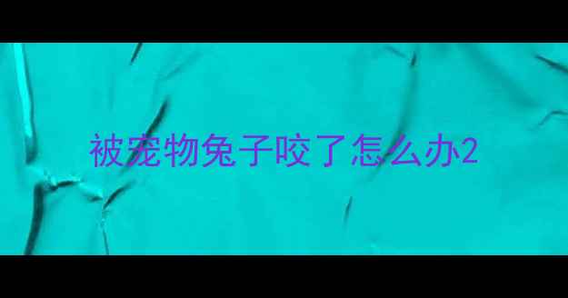 图片 被宠物兔子咬了怎么办2