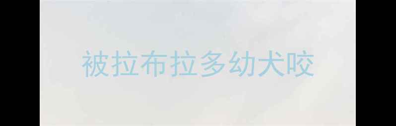 图片 被拉布拉多幼犬咬