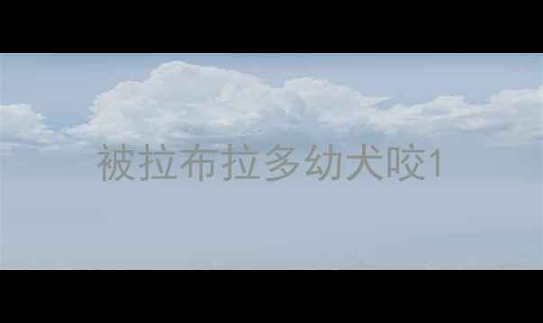 图片 被拉布拉多幼犬咬1