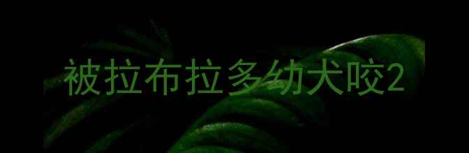 图片 被拉布拉多幼犬咬2