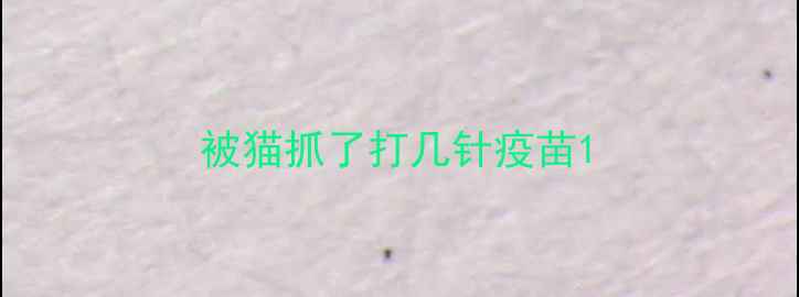 图片 被猫抓了打几针疫苗1
