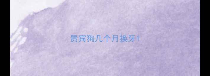 图片 贵宾狗几个月换牙1