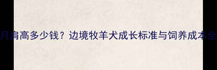 图片 边境牧羊犬8个月肩高多少钱？边境牧羊犬成长标准与饲养成本全（附价格表）2