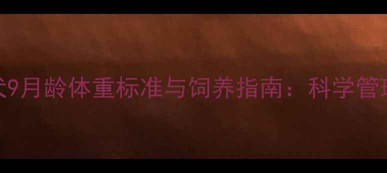 图片 边境牧羊犬9月龄体重标准与饲养指南：科学管理宠物健康