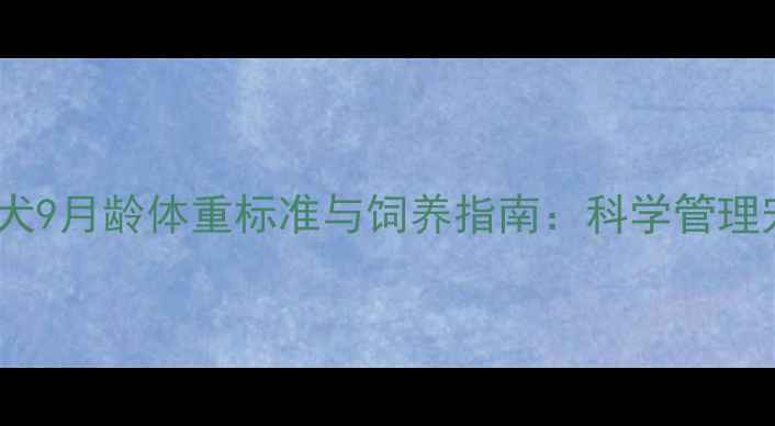 图片 边境牧羊犬9月龄体重标准与饲养指南：科学管理宠物健康1