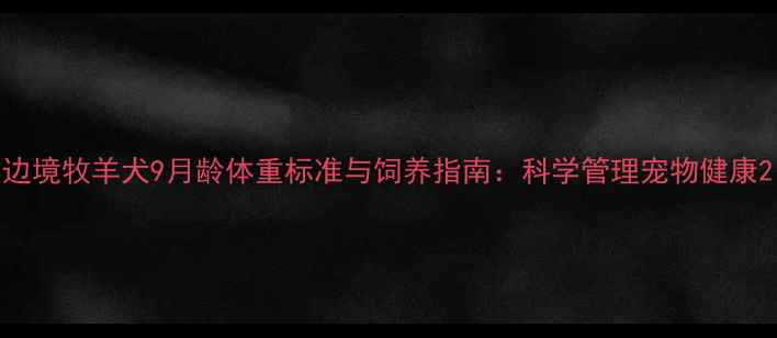 图片 边境牧羊犬9月龄体重标准与饲养指南：科学管理宠物健康2