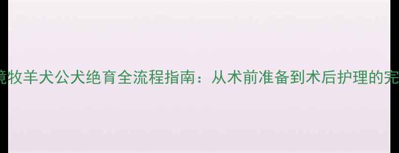 图片 边境牧羊犬公犬绝育全流程指南：从术前准备到术后护理的完整1