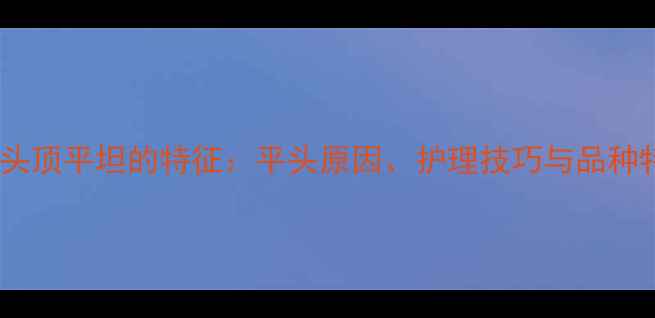 图片 边境牧羊犬头顶平坦的特征：平头原因、护理技巧与品种特性全指南1