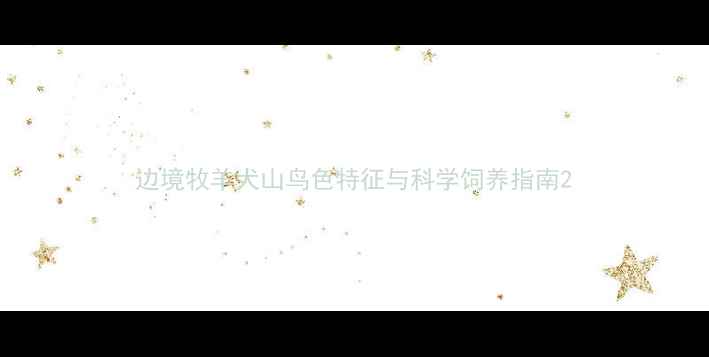 图片 边境牧羊犬山鸟色特征与科学饲养指南2