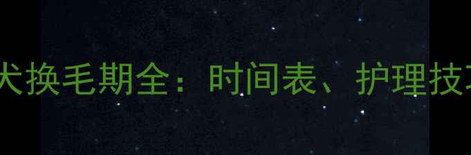 图片 边境牧羊犬幼犬换毛期全：时间表、护理技巧与常见问题1