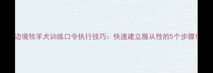 图片 边境牧羊犬训练口令执行技巧：快速建立服从性的5个步骤1