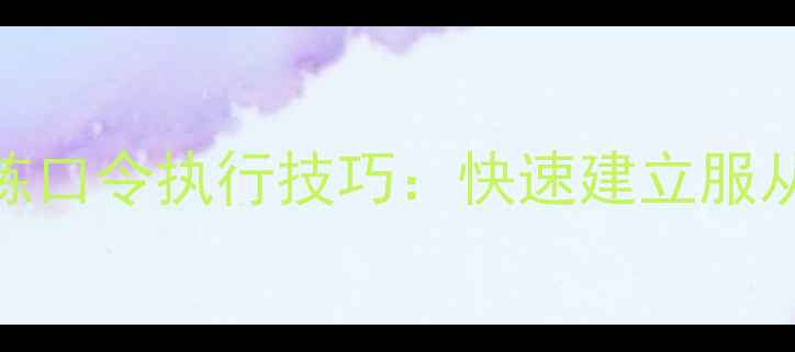 图片 边境牧羊犬训练口令执行技巧：快速建立服从性的5个步骤2