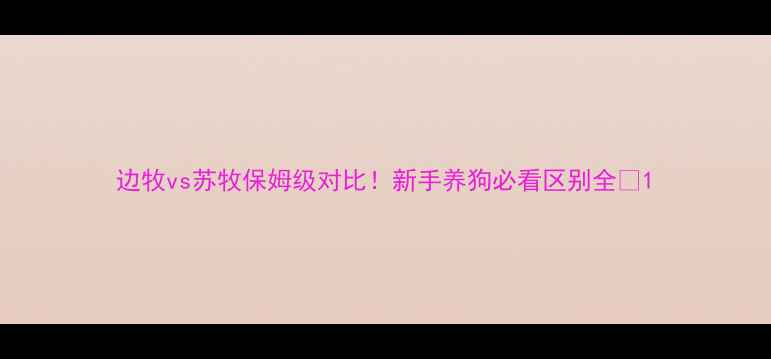 图片 边牧vs苏牧保姆级对比！新手养狗必看区别全🐾1