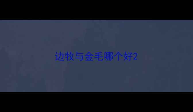 图片 边牧与金毛哪个好2