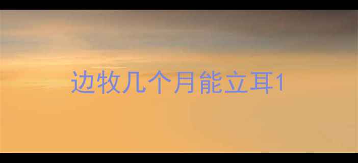 图片 边牧几个月能立耳1