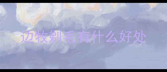 图片 边牧剃毛有什么好处