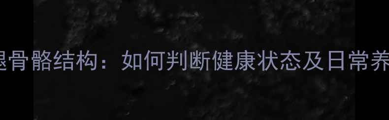 图片 边牧后腿骨骼结构：如何判断健康状态及日常养护指南2