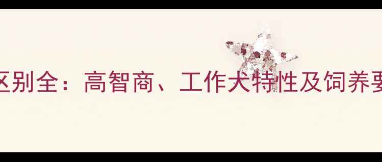 图片 边牧和其他犬种区别全：高智商、工作犬特性及饲养要点（深度指南）